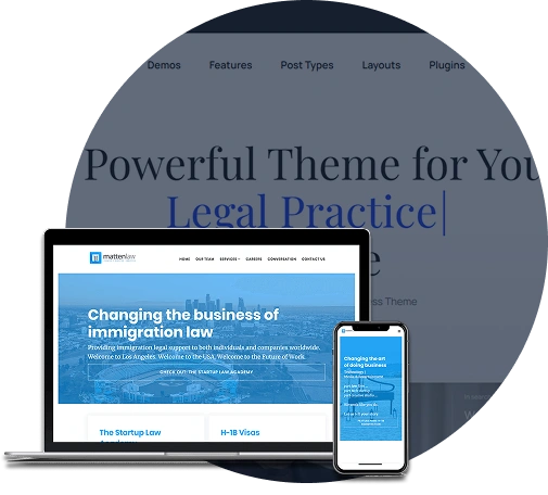 Custom Business Law Websites