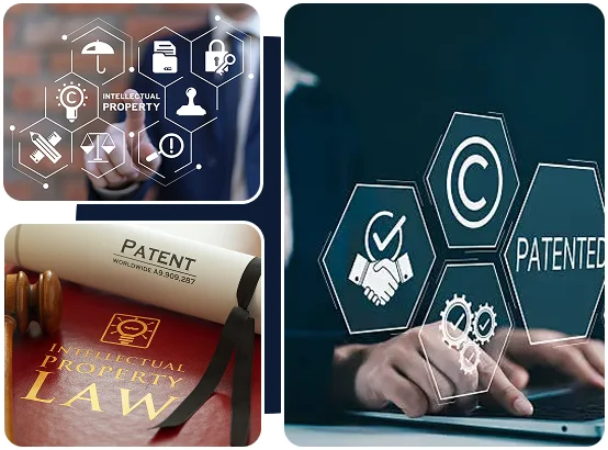 Authority building IP law firm web designs
